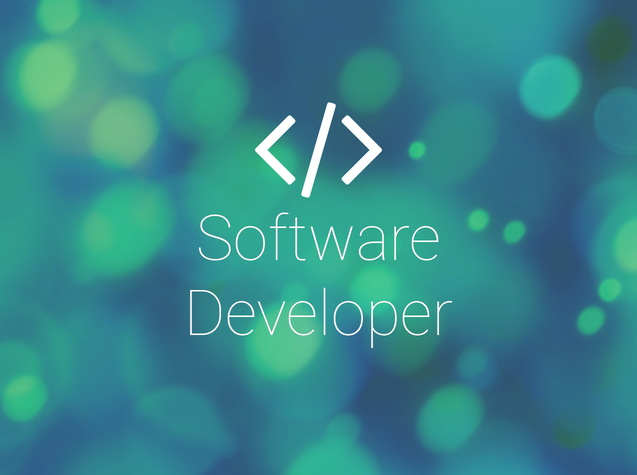 embedded-software-developer